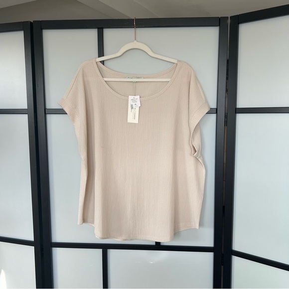 [XLp] Cleo Petite NWT Cream Beige Textured Short Sleeve Top *flaw* - Picture 2 of 10